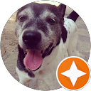 J.H. Z profile picture